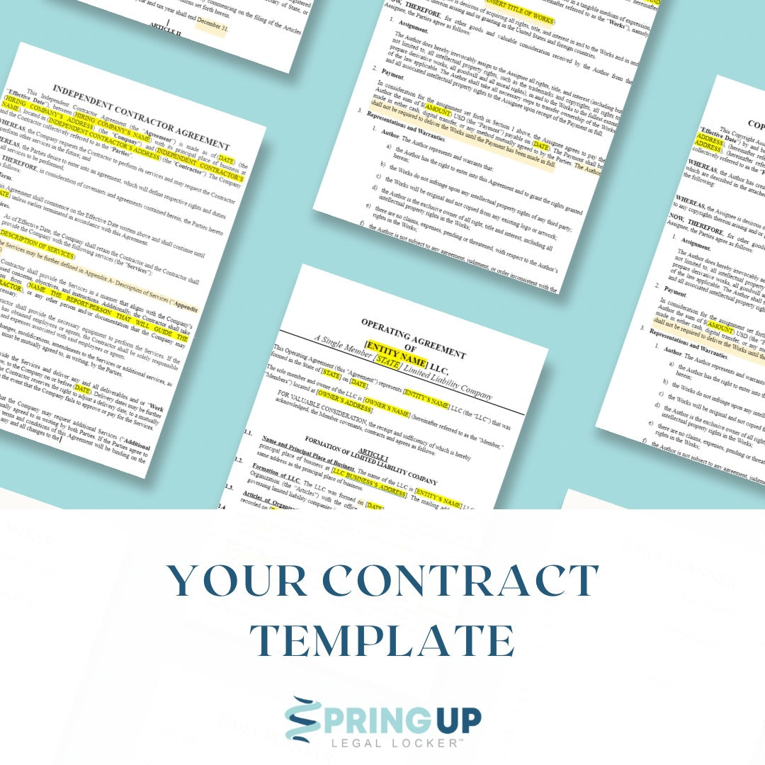 Single Member LLC Checklist