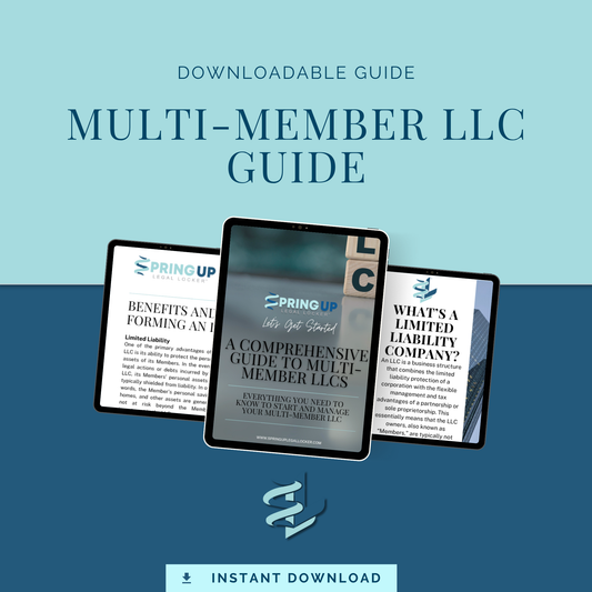 Multi-Member LLC Guide