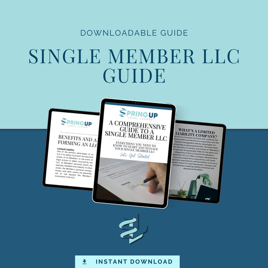 Single Member LLC Guide