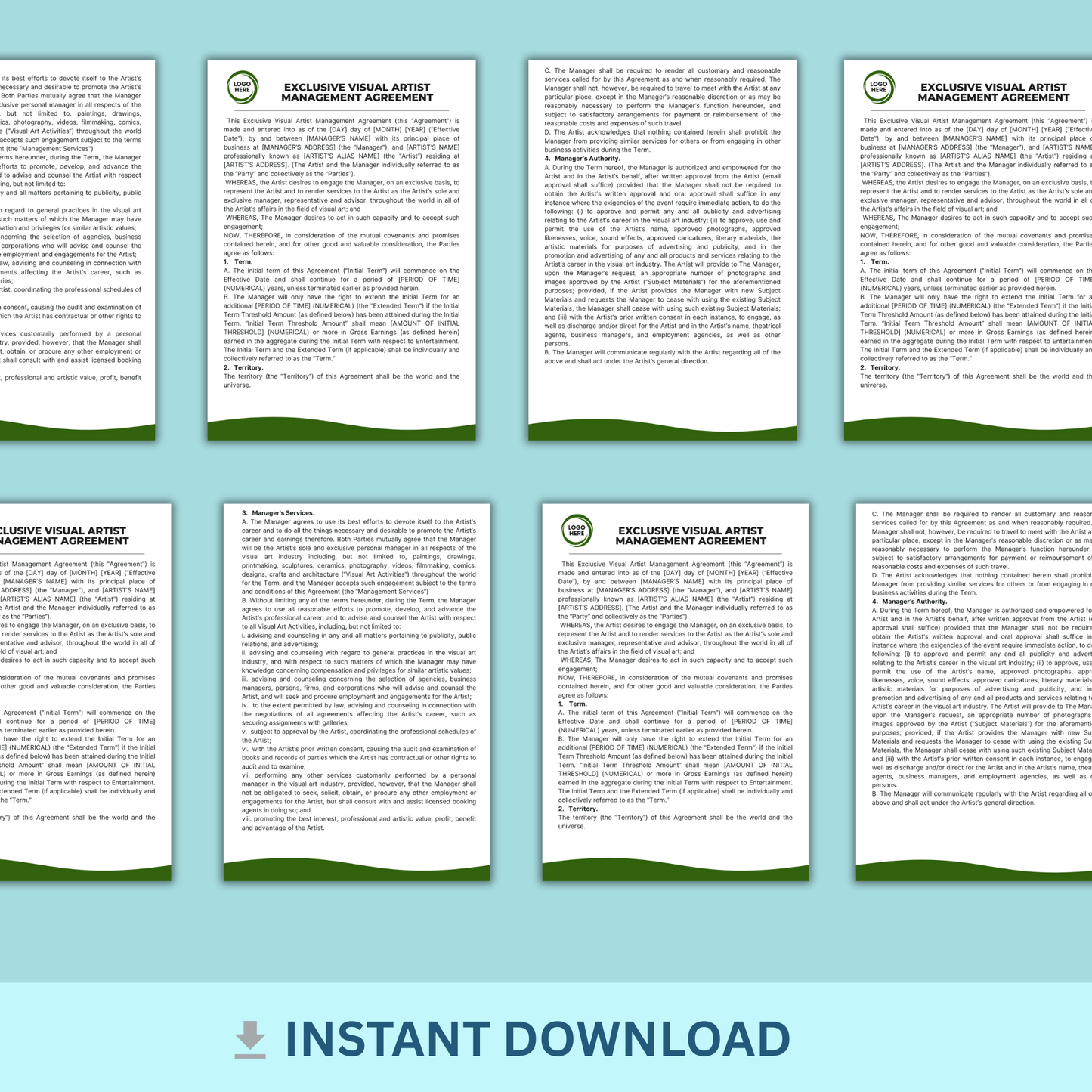 Visual Artist Management Agreement - Exclusive