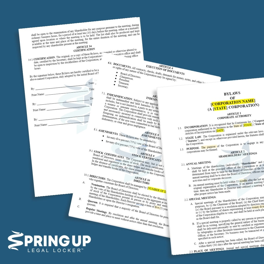 Initial Meeting Minutes (Single-Member)