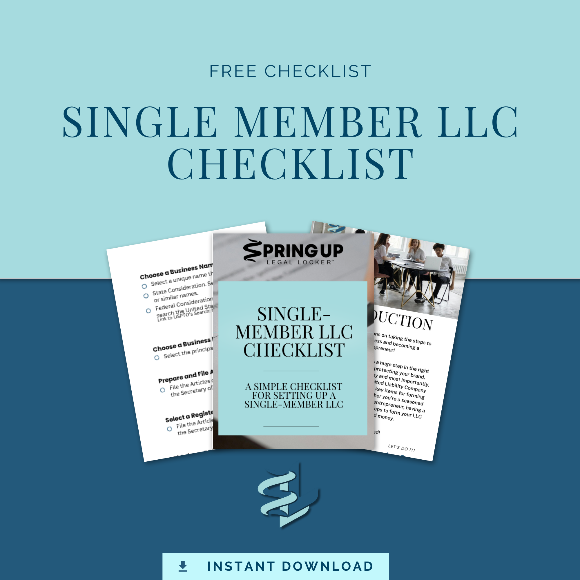 Single Checklist Single Member LLC Checklist – Spring Up Legal Locker